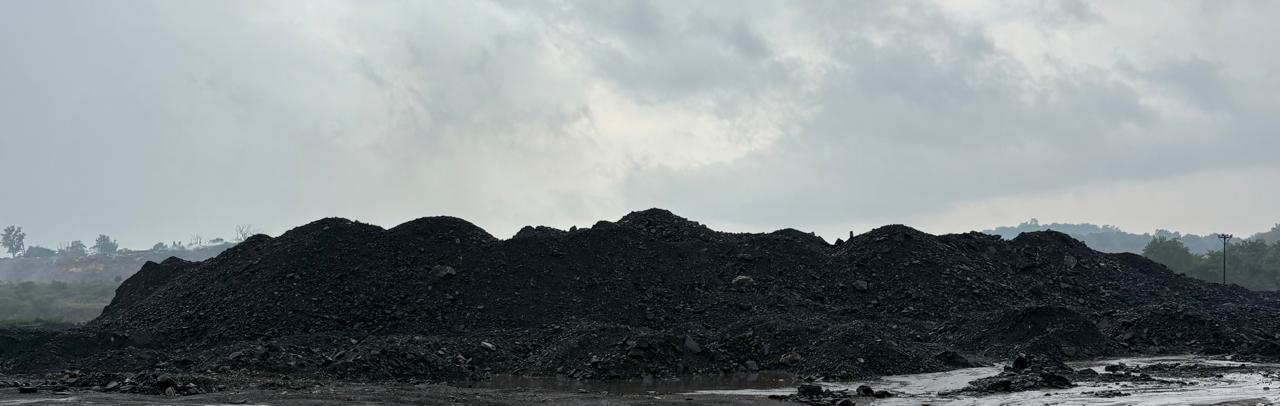 Coal transport trucks